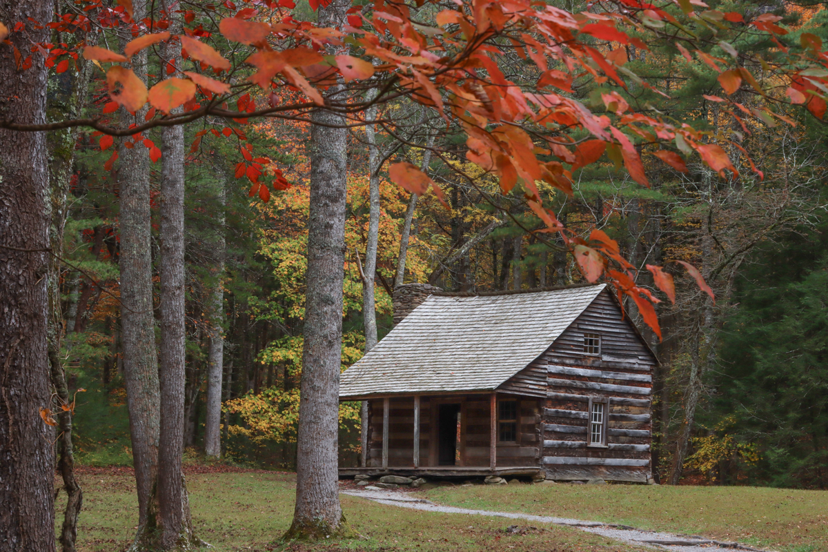 The Carter Shields Cabin in Cades Cove.
