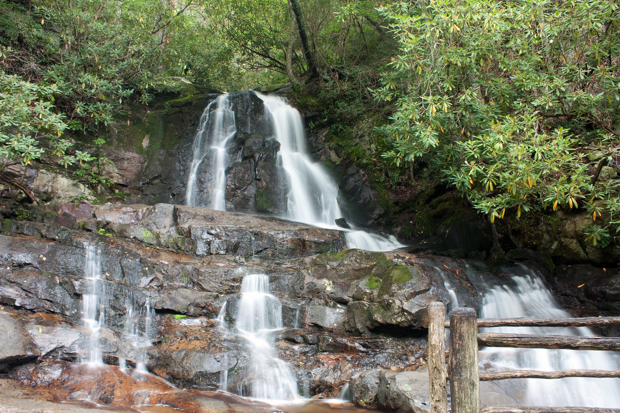 Water cascading over two rocky tiers at Laurel Falls