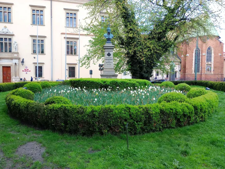 Formal planting beside the path at All Saints Square, Kraków