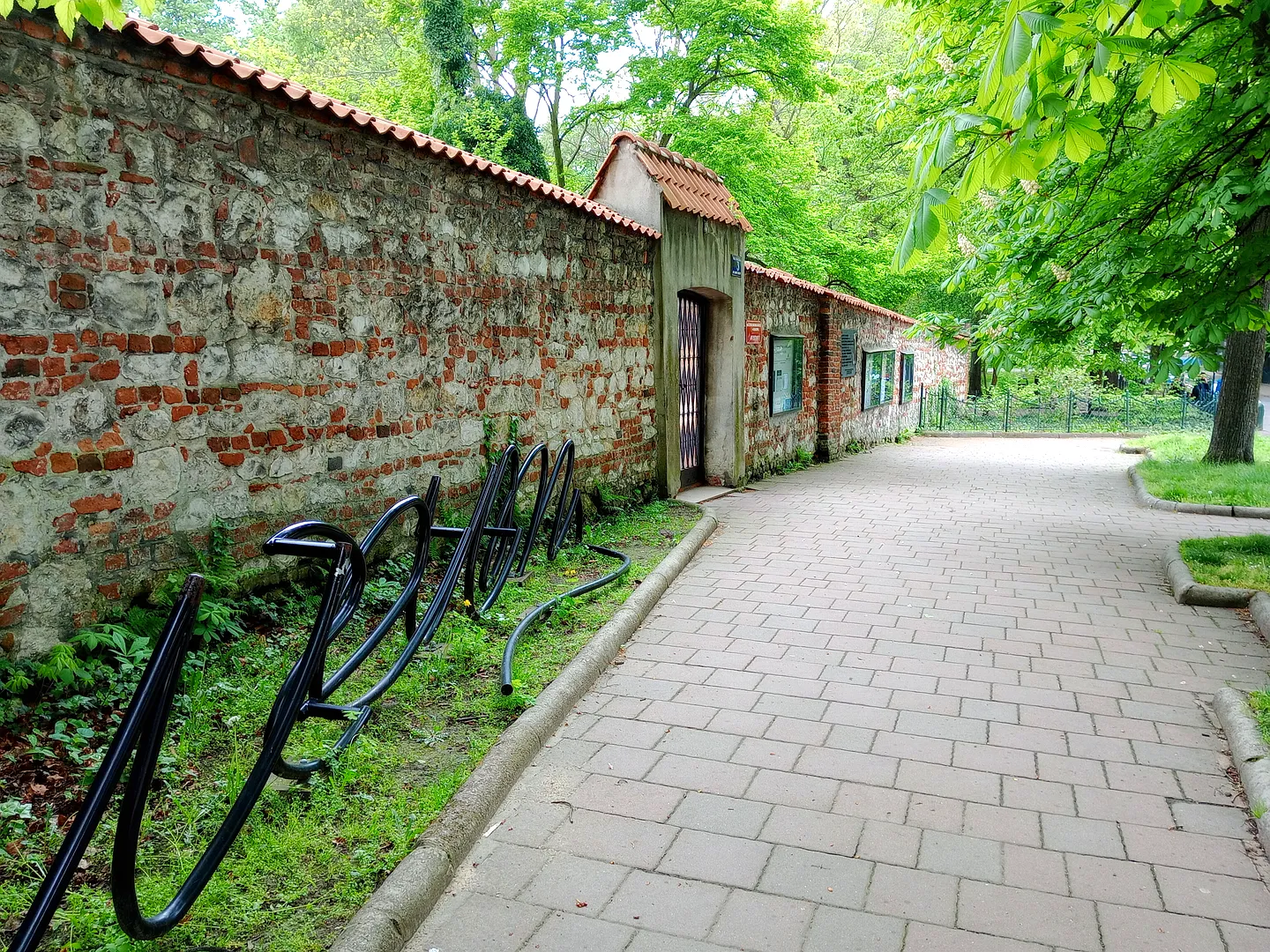 The path outside the museum wall at Archaeological Museum, Kraków