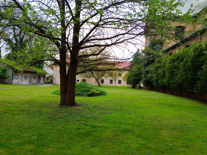 A broad lawn beneath spring trees at Bernardine monastery garden