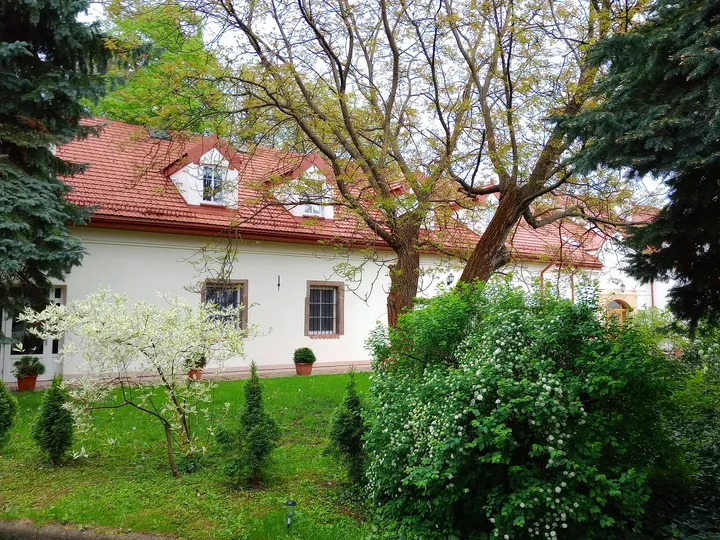 The garden and neighbouring roofs at Bernardine monastery garden