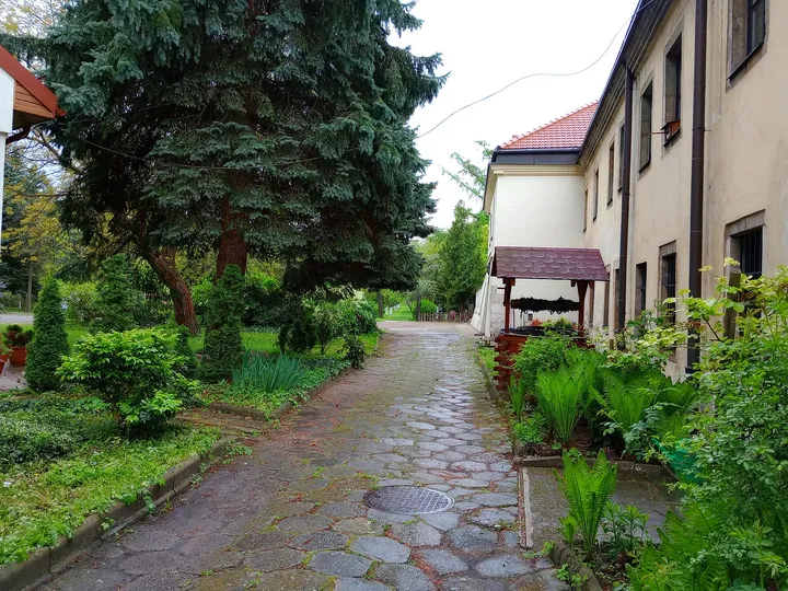 A garden path beneath trees at Bernardine monastery garden