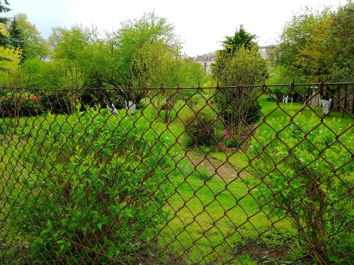Planting seen through a boundary fence at Bernardine monastery garden