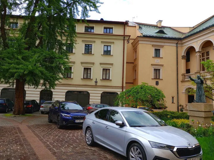 Trees in the palace courtyard at Bishops’ Palace, Kraków