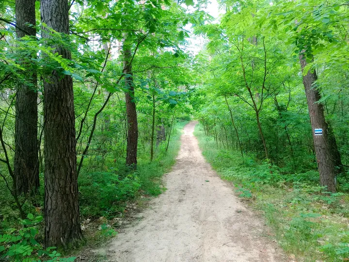 Long trail view beneath the canopy at Black walking trail to Wilkanowo Hill