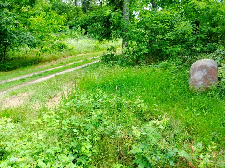 Track along the forest edge at Black walking trail to Wilkanowo Hill