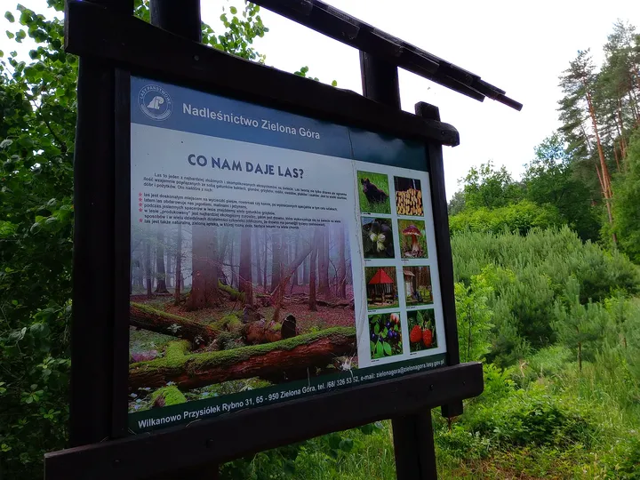 Local history panel beneath its timber roof at Black walking trail to Wilkanowo Hill