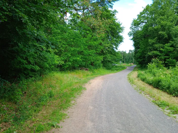 Paved path beneath the greenery at Black walking trail to Wilkanowo Hill