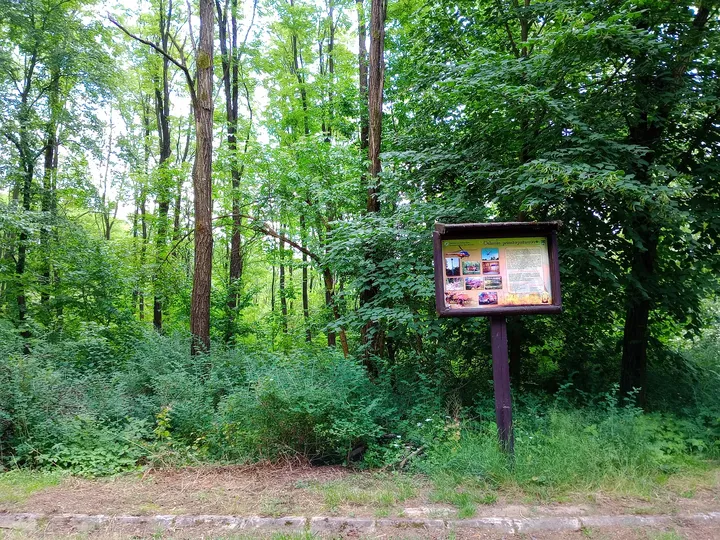 Trail information panel at Black walking trail to Wilkanowo Hill