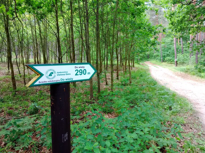 Directional waymark at the junction at Black walking trail to Wilkanowo Hill