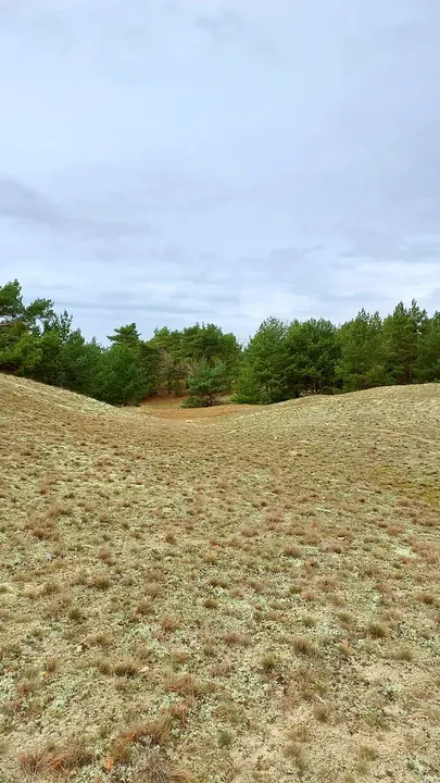 Worked field beside the nearby route at Bojadła Palace