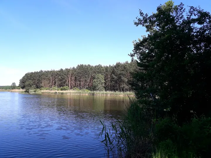 Lake beyond the pines at Chalk pits, Brzezie Pomorskie