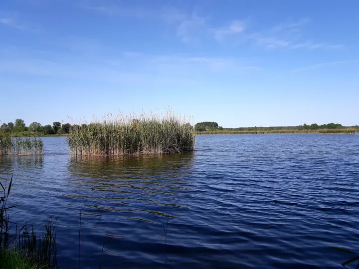 Open water around a reed-covered island at Chalk pits, Brzezie Pomorskie