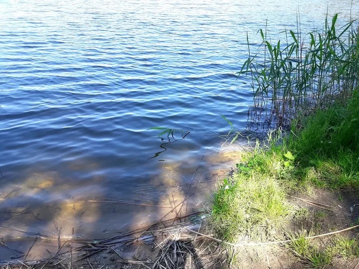 Clear shallow water at the edge at Chalk pits, Brzezie Pomorskie