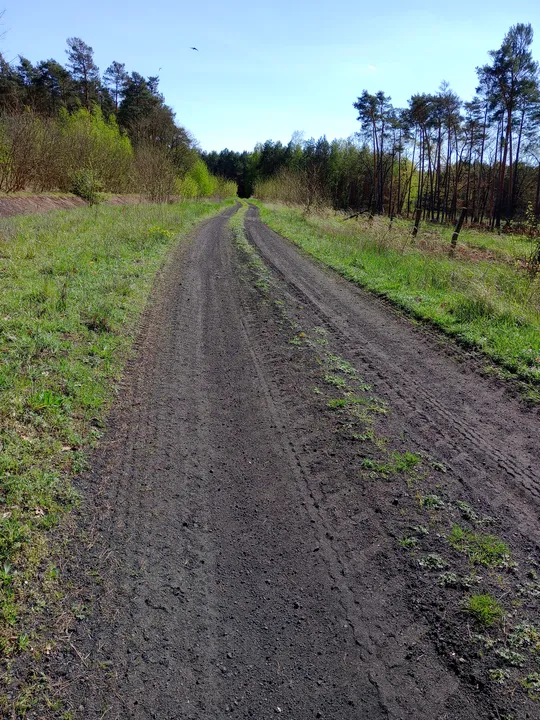 Gravel track under the open sky at Chemiczna–Łężyca cycling loop