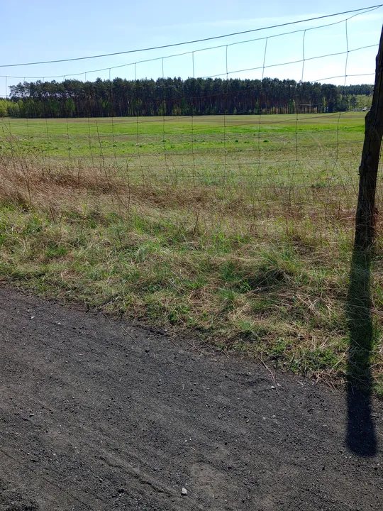 Field margin along the ride at Chemiczna–Łężyca cycling loop