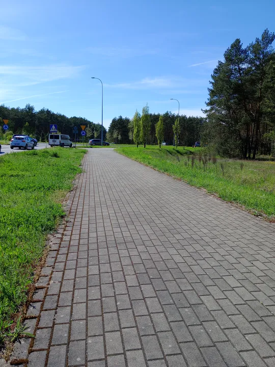 Paved route alongside the woodland at Chemiczna–Łężyca cycling loop