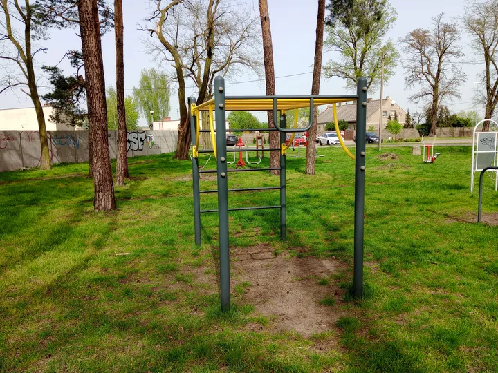 Exercise bars beneath the park trees at Czerwieńsk outdoor exercise ground
