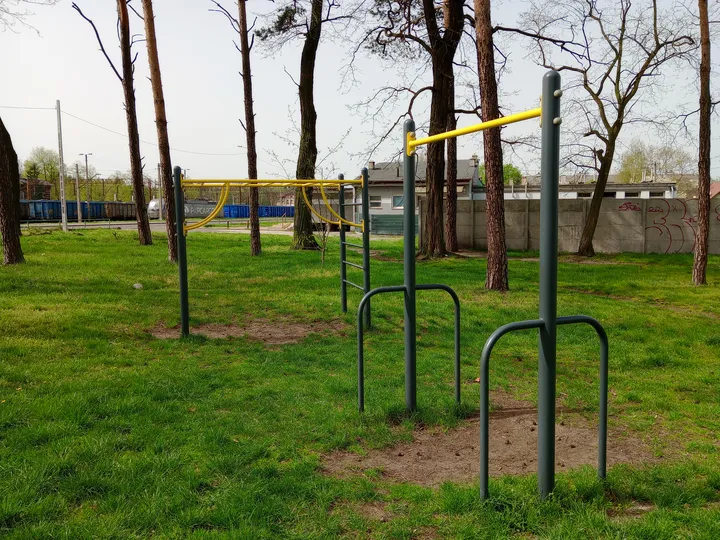 Multiple exercise frames between the trees at Czerwieńsk outdoor exercise ground