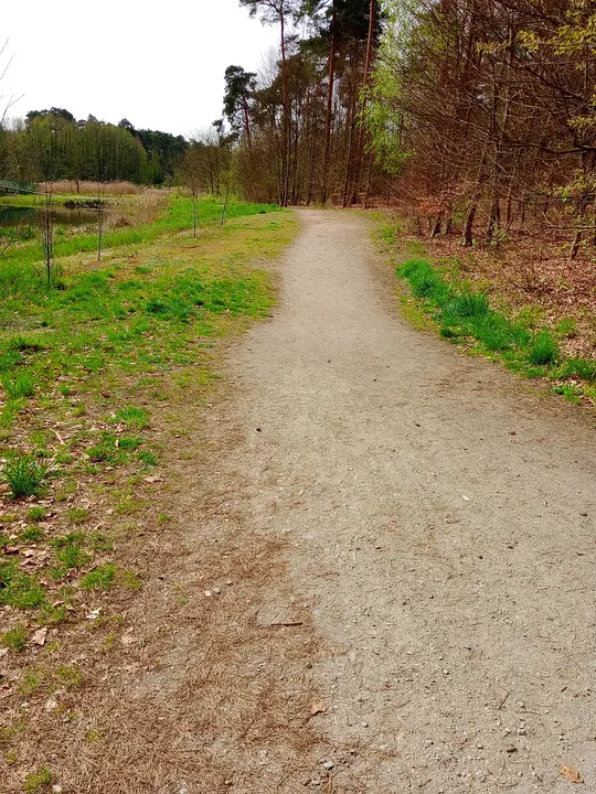 Path along the reservoir edge at Czerwieńsk reservoir