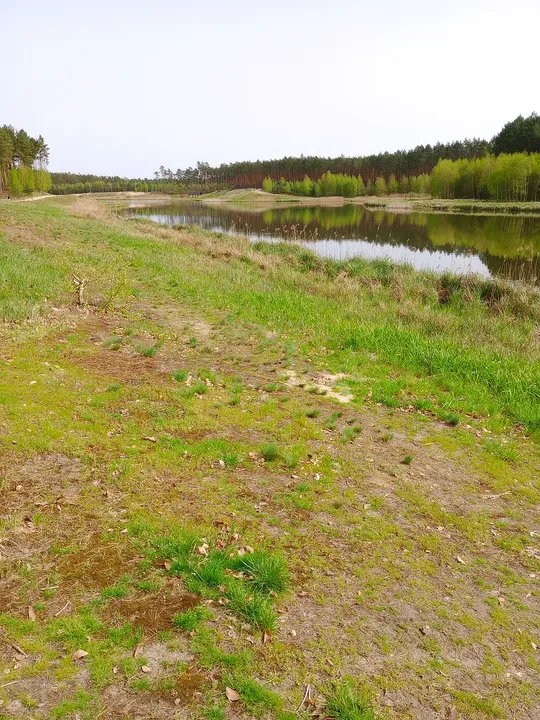 Open shoreline view at Czerwieńsk reservoir