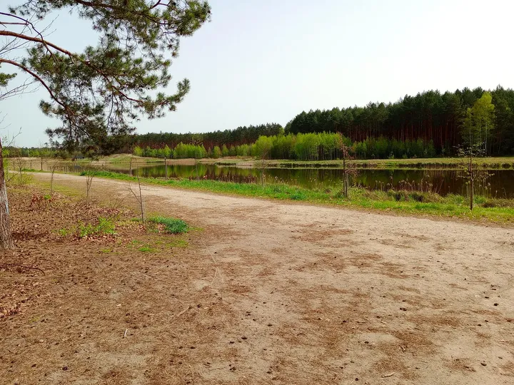 Sandy lakeside approach at Czerwieńsk reservoir
