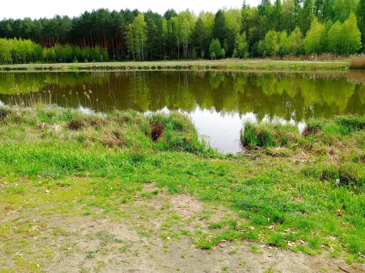 Reservoir bordered by fresh grass at Czerwieńsk reservoir