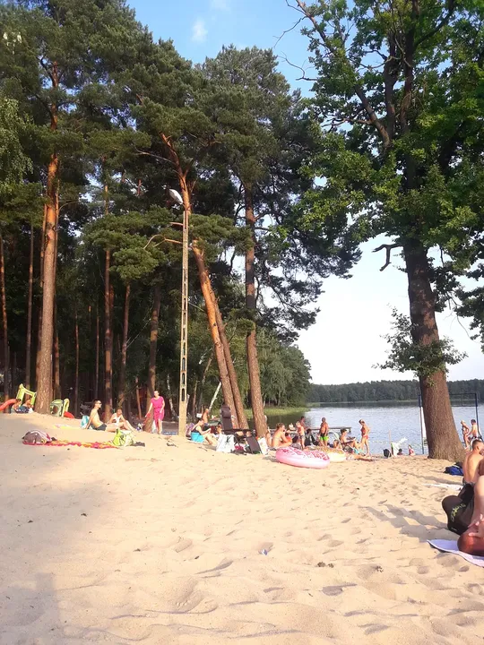 Sandy approach through the pines at Dąbie lakeside recreation ground