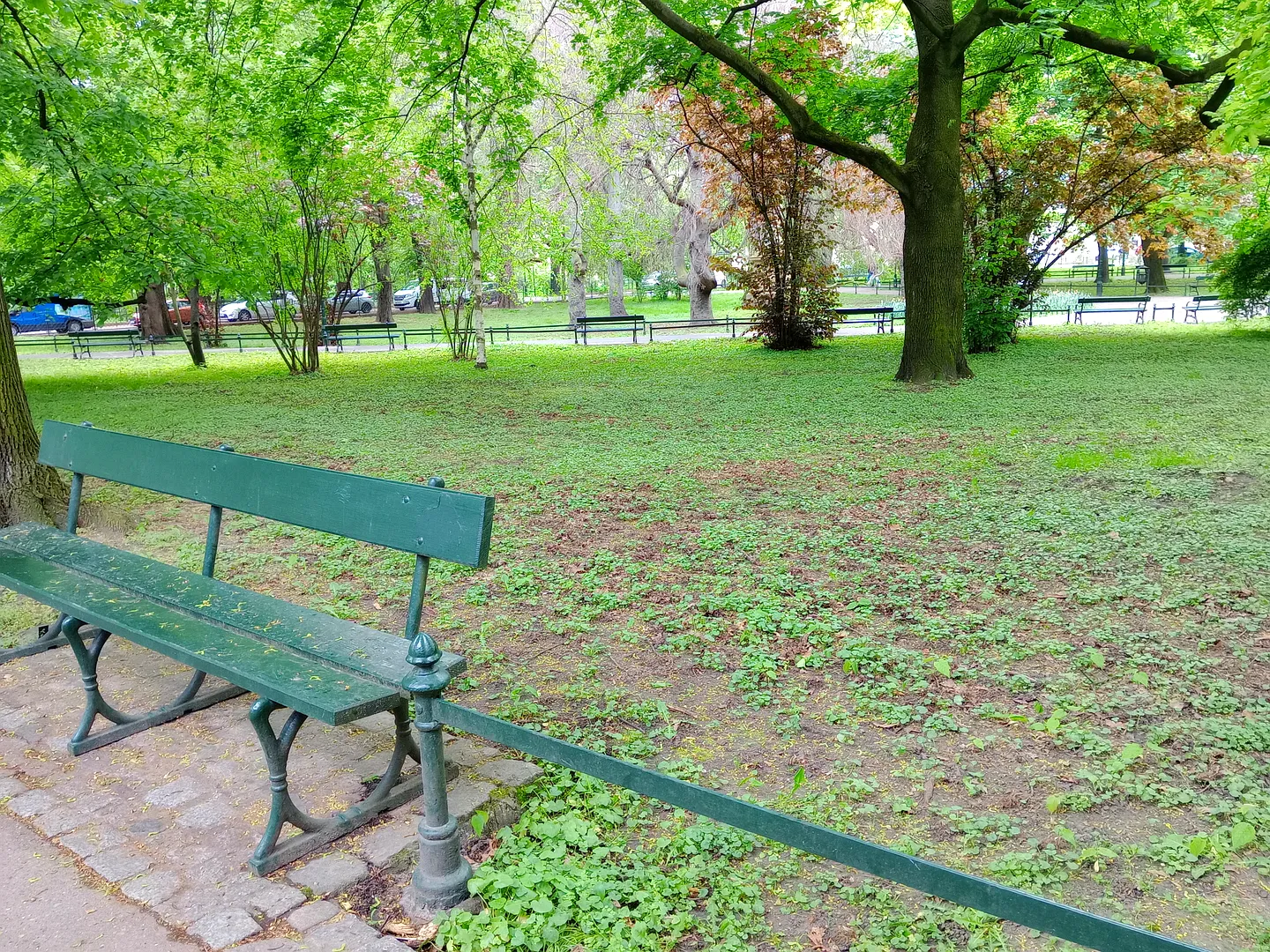 A bench beside the spring lawn at Ewa Demarczyk Square