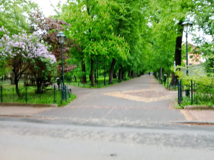 The park entrance beside city buildings at Ewa Demarczyk Square