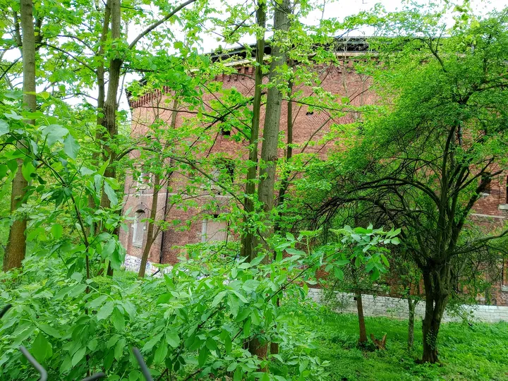Fort partly screened by planting at Fort 31: Saint Benedict