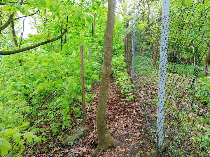 Track along the woodland edge at Fort 31: Saint Benedict