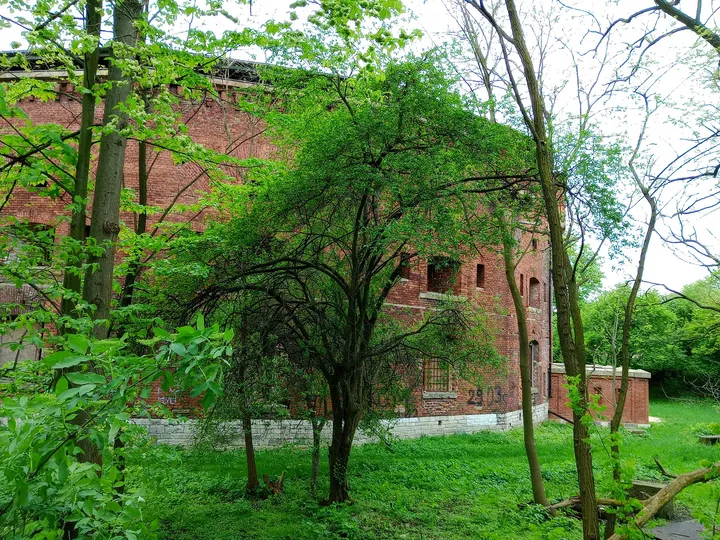 Lower masonry beneath the trees at Fort 31: Saint Benedict