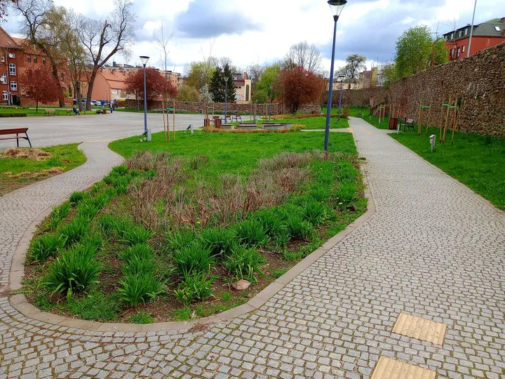 A planted bed beneath surviving walls at General Maczek Square, Żagań