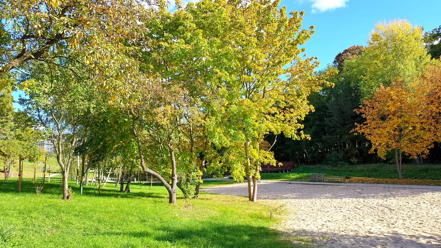 The pond framed by yellow leaves at Gęśnik Valley