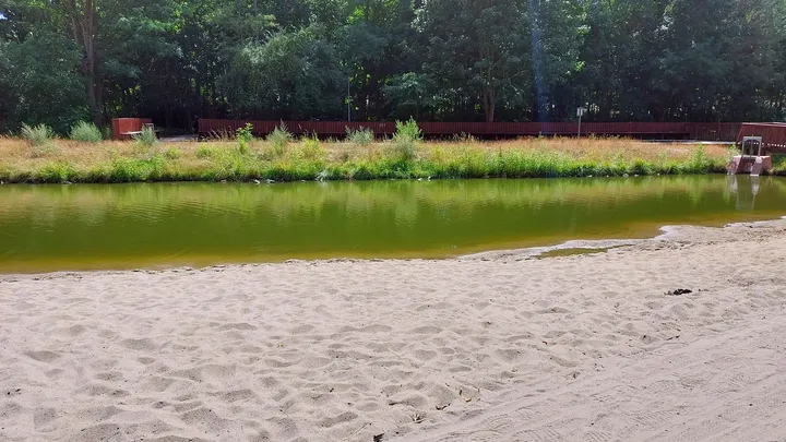 The sandy open space beside the pond at Gęśnik Valley