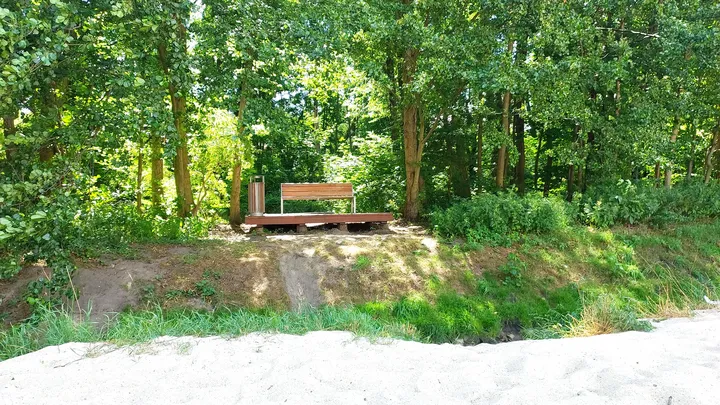 A bench beneath summer foliage at Gęśnik Valley