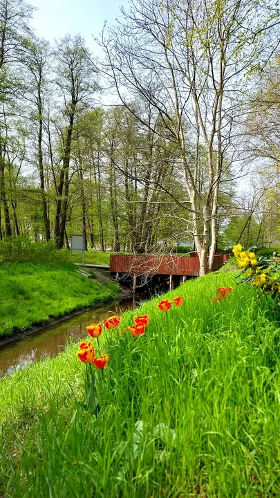 Spring planting beside the walkway at Gęśnik Valley