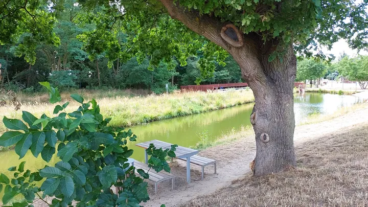 Tree shade along the sandy route at Gęśnik Valley