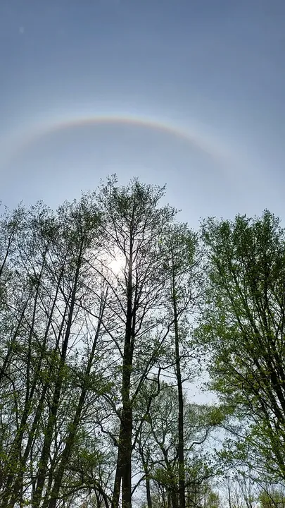 A halo above the tree line at Gęśnik Valley