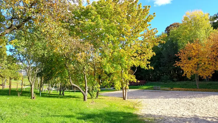 The pond framed by yellow leaves at Gęśnik Valley