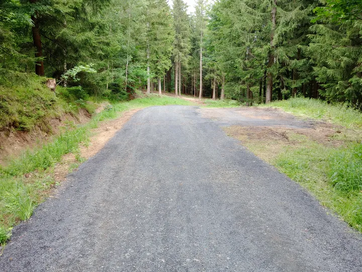 Gravel route entering the forest at Izera Mountains cycling trail