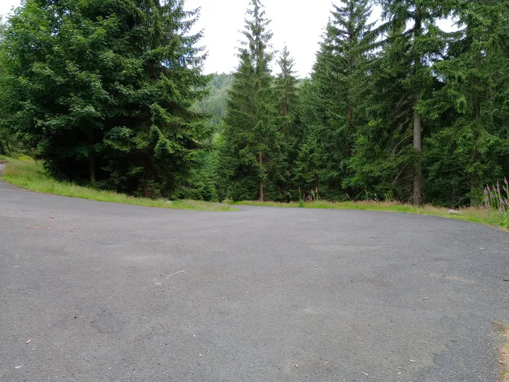 Broad junction among the conifers at Izera Mountains cycling trail