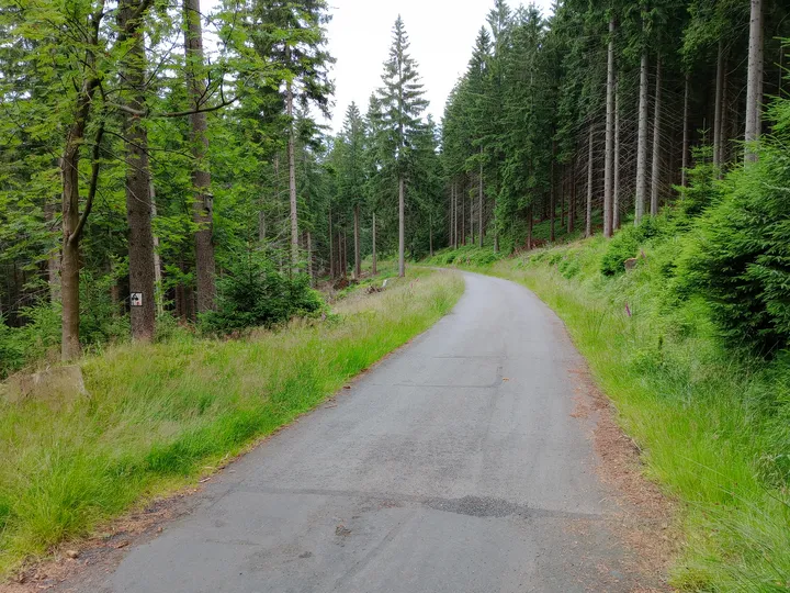 Track climbing through the forest at Izera Mountains cycling trail