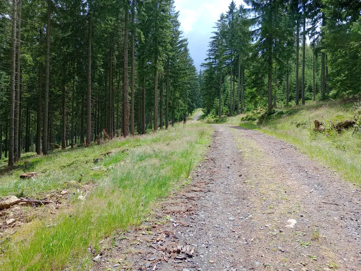 Long stretch of mountain track at Izera Mountains cycling trail