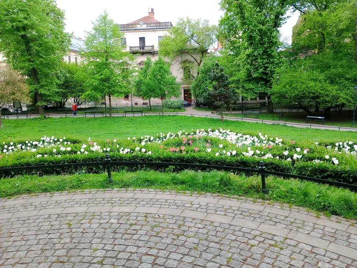 The formal planting near the monument at Jadwiga and Jagiełło monument