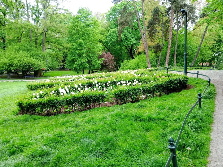 Curving paths beside the garden at Jadwiga and Jagiełło monument