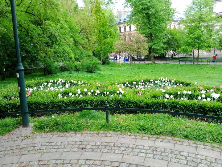 Spring flowers beneath the surrounding trees at Jadwiga and Jagiełło monument