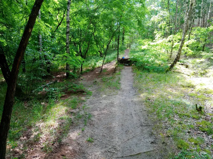Trail beside the forest slope at Jagodowe Wzgórze singletrack
